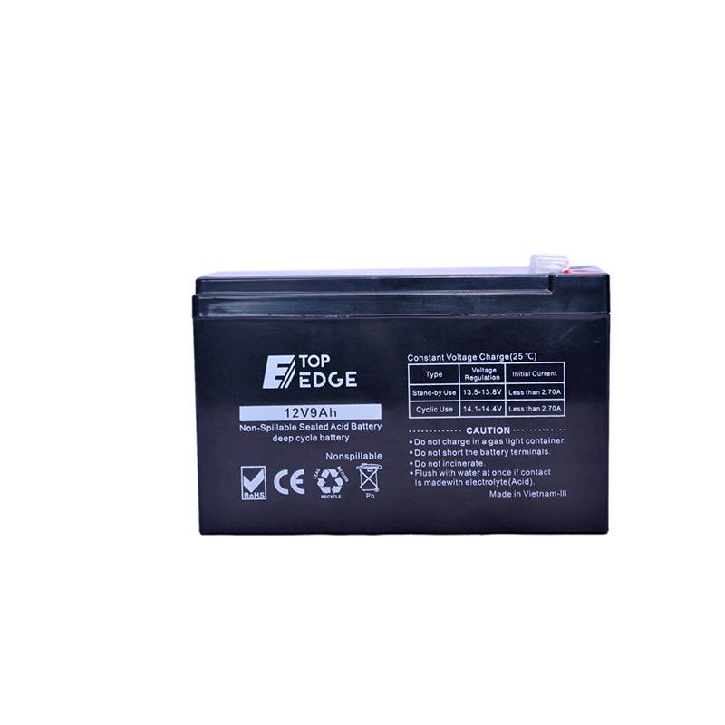 TOP EDGE 12V,9AH UPS BATTERY 