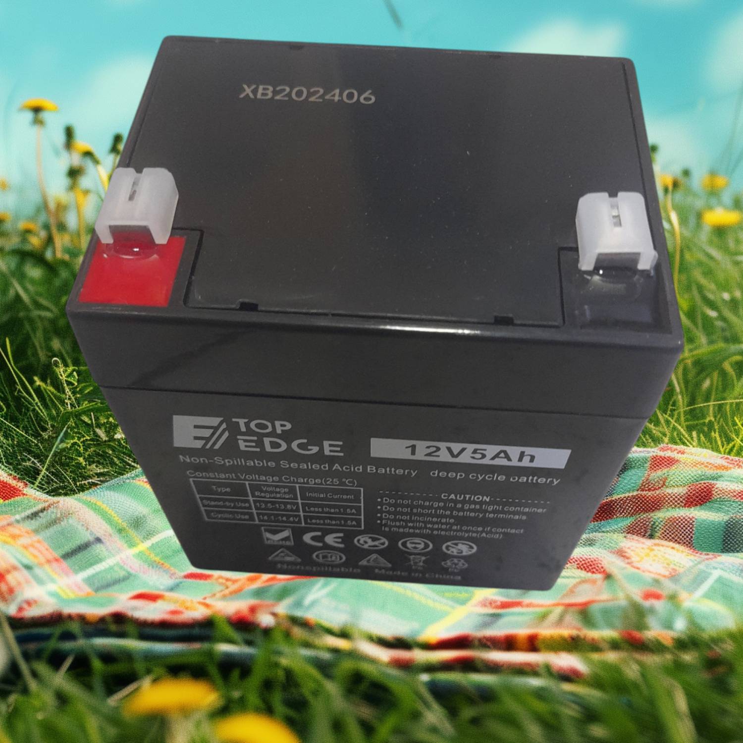 Top Edge 12v,5AH Ups battery 