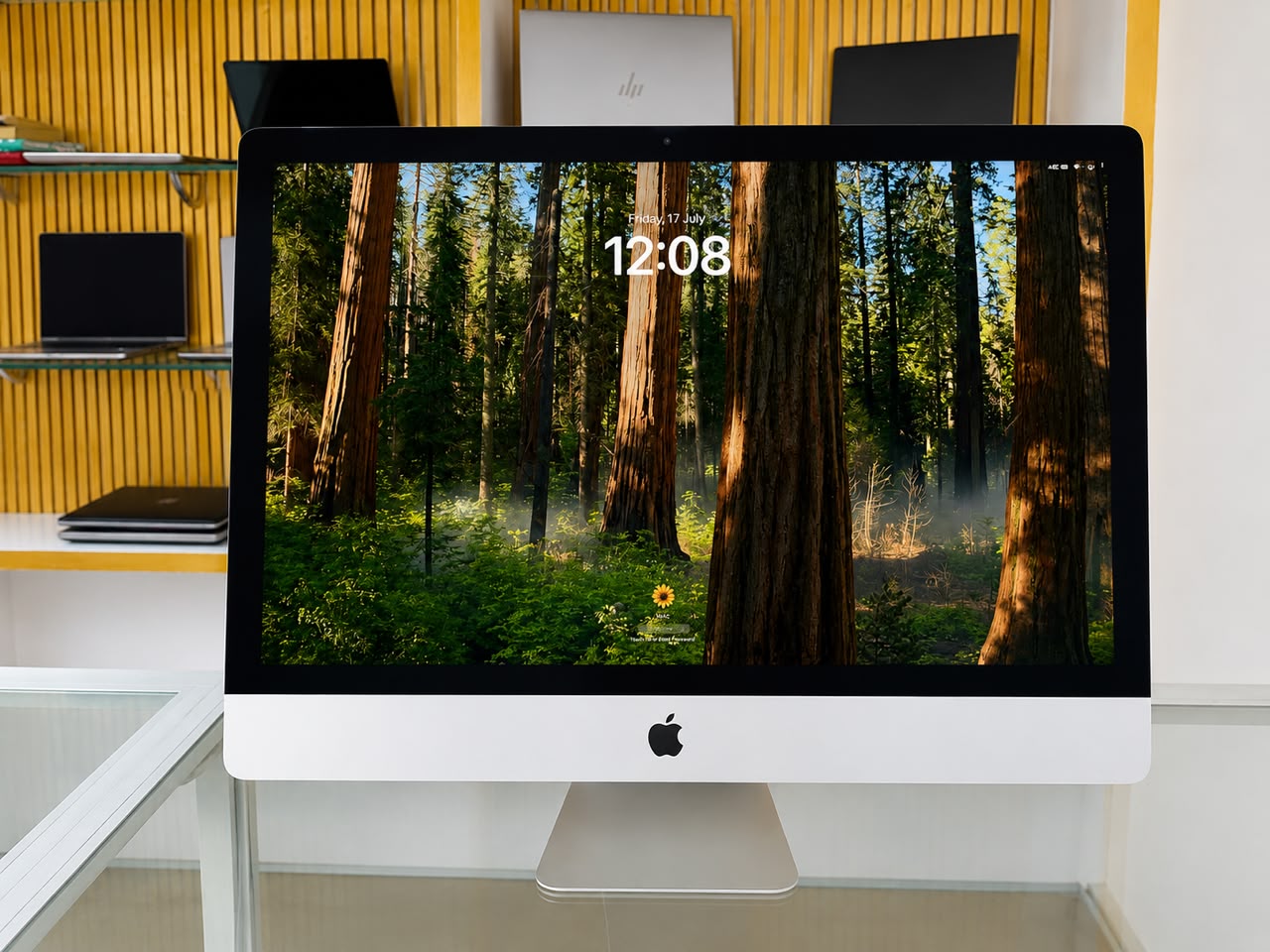 Product Gallery